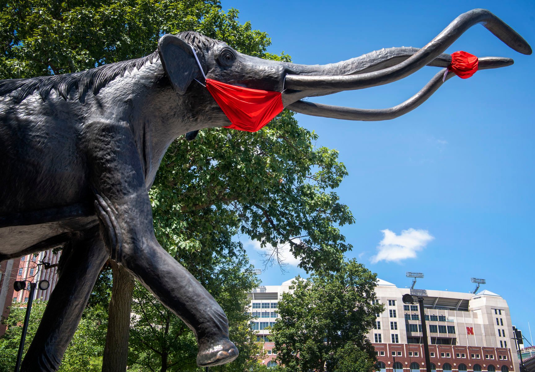 Masked Archie the Mammoth